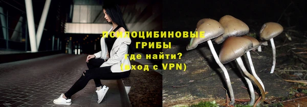 a pvp Аркадак