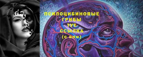 a pvp Аркадак