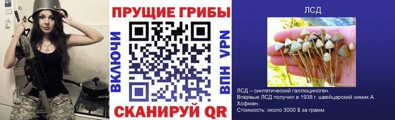 Галлюциногенные грибы GOLDEN TEACHER  blacksprut ТОР  Райчихинск  даркнет сайт 